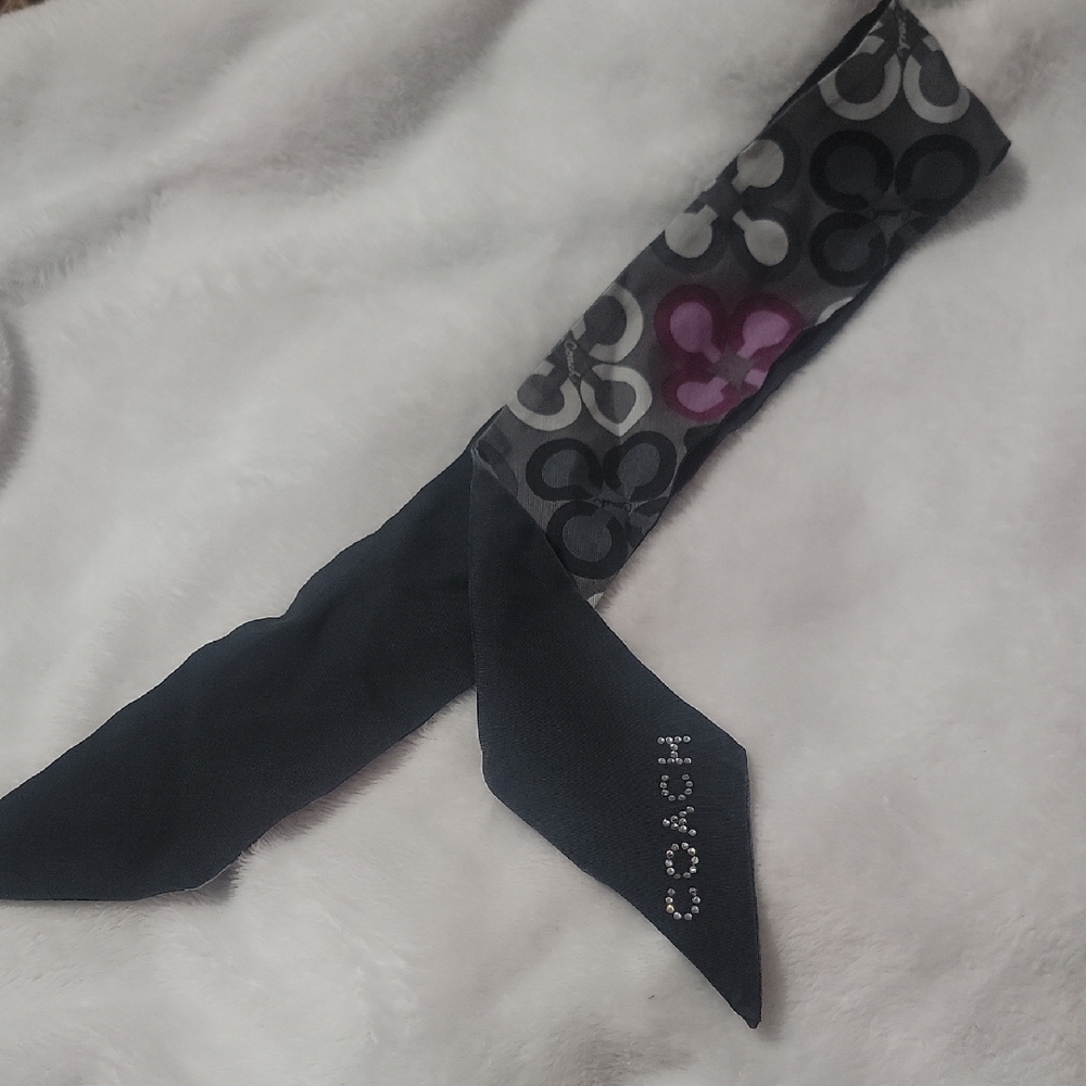 Coach Bag Scarf *callout*